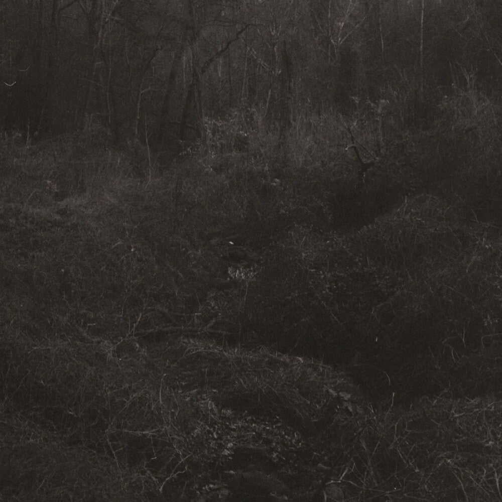 Lesley Mok - Transient [Download Included] [New Vinyl]