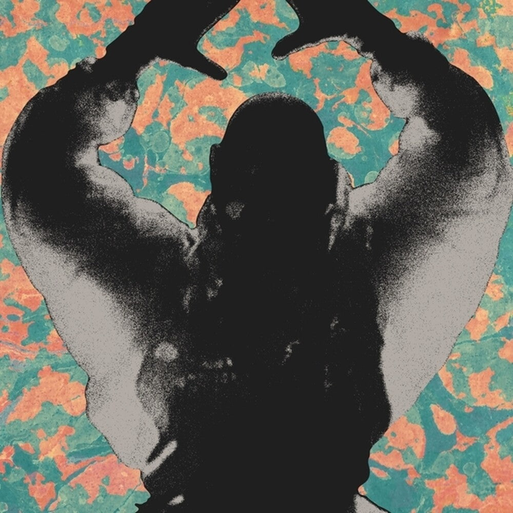 Startled Insects - Antenna Years [LP] [New Vinyl]