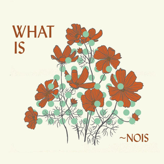 Nois - What Is Nois [CD] [New CD]