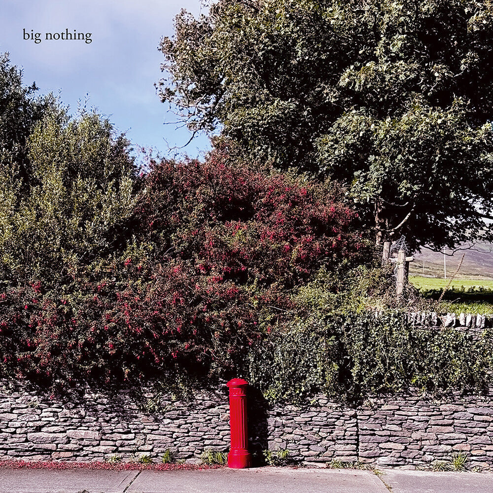 Big Nothing - Big Nothing [LP] [New Vinyl]