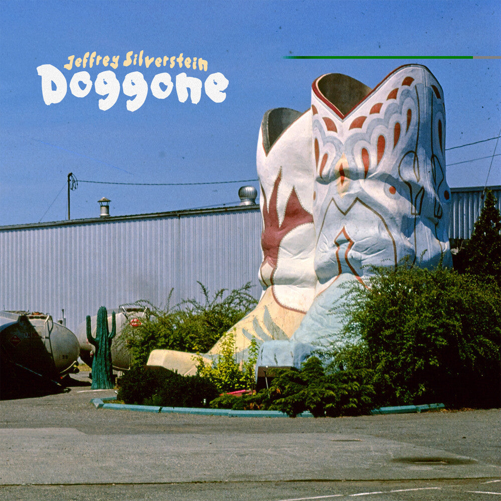 Jeffrey Silverstein - Doggone [LP] [New Vinyl]