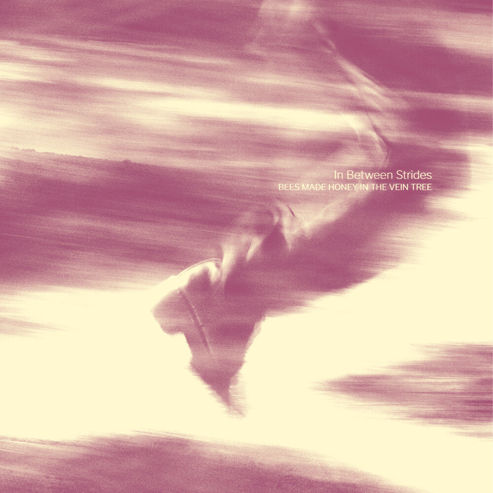 Bees Made Honey in the Vein Tree - In Between Strides [Digipak] [New CD]