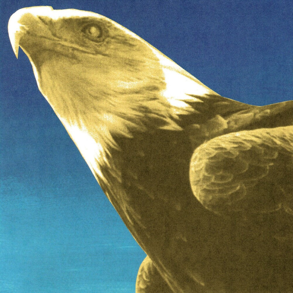 Protomartyr - Hotel Usona [CD] [New CD]