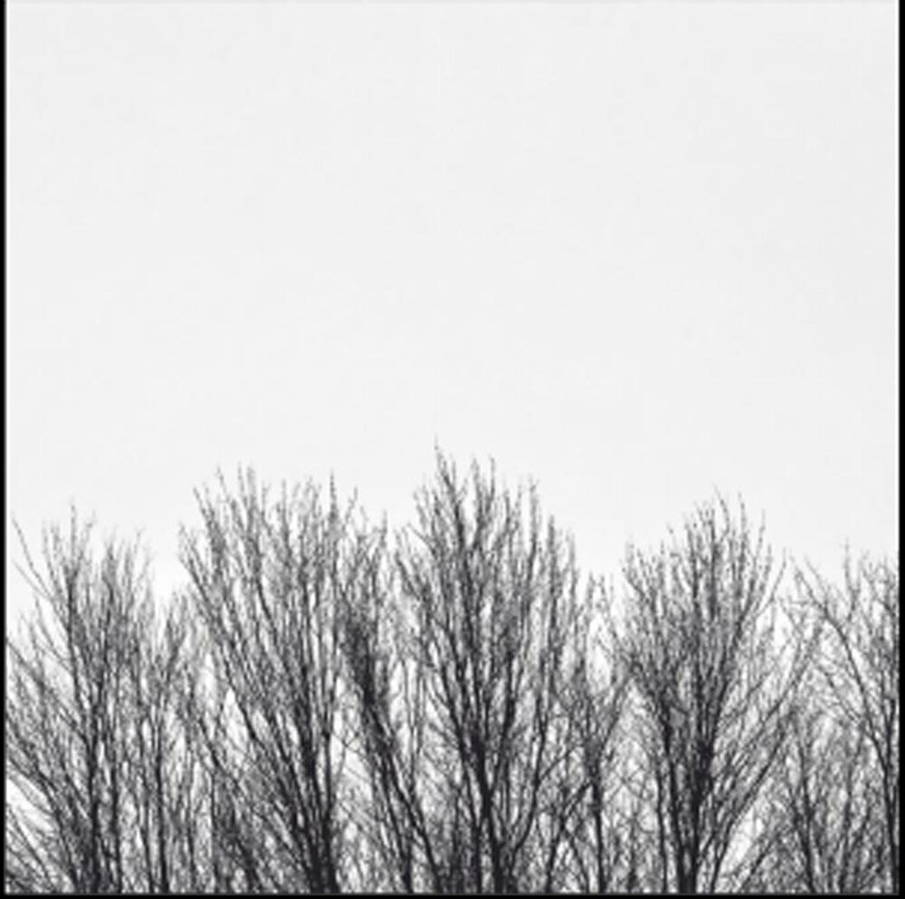 Northwoods Improvisers - White Sky [CD] [New CD]