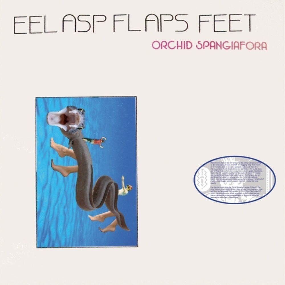 Orchid Spangiafora - Eel Asp Flaps Feet [LP] [New Vinyl]
