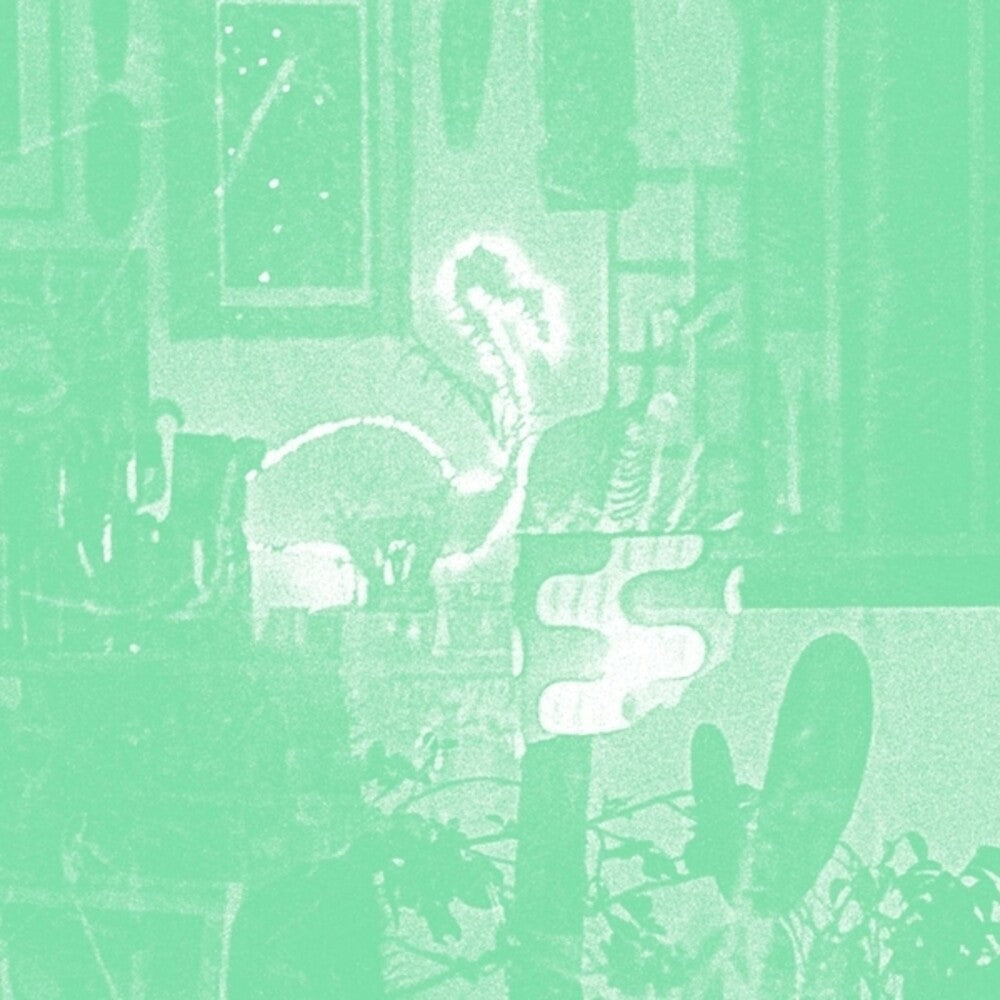 Mike Cooper - Stochastic Parrot [CD] [New CD]