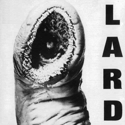 Lard - Power of Lard [12" Vinyl] [New Vinyl]