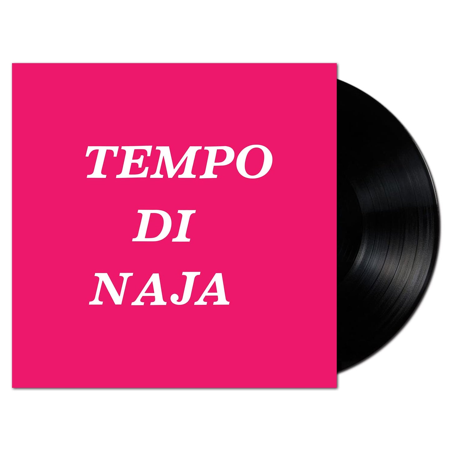 Ducros, Remigio - Tempo Di Naja [LP] Vinyl Record