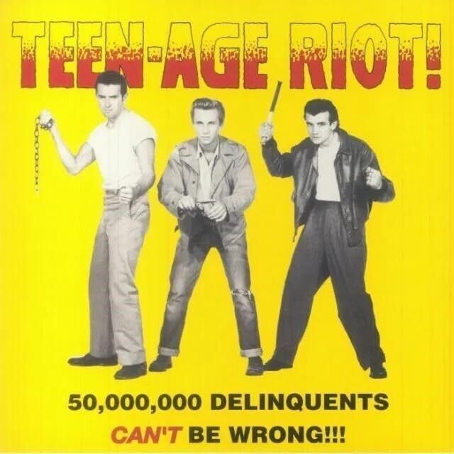 Teen-Age Riot: 50000000 Delinquents Can't Be Wrong - Teen-Age Riot: 50000000 Delinquents Can't Be Wrong [LP] Vinyl Record