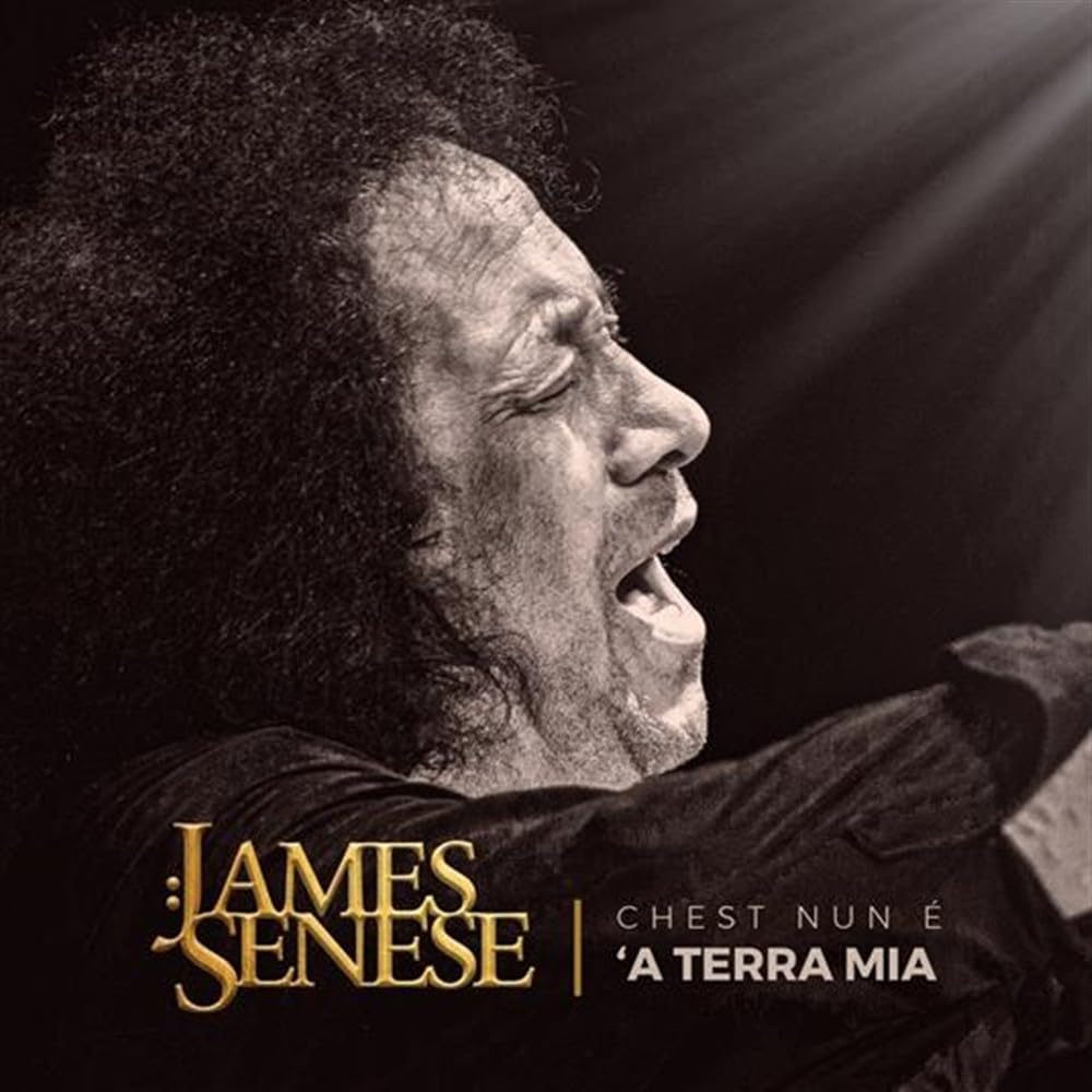 James Senese - Chest Nun A A Terra Mia (Ita) [LP] Vinyl Record