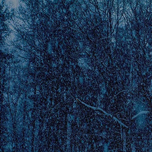Jesu - Never [LP] Vinyl Record