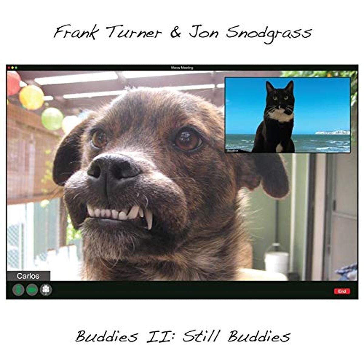 Frank Turner / Snodgrass,Jon - Buddies II: Still Buddies [LP] Vinyl Record