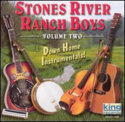 Stones River Rance Boys - Down Home Instrumentals, Vol. 2 [CD]
