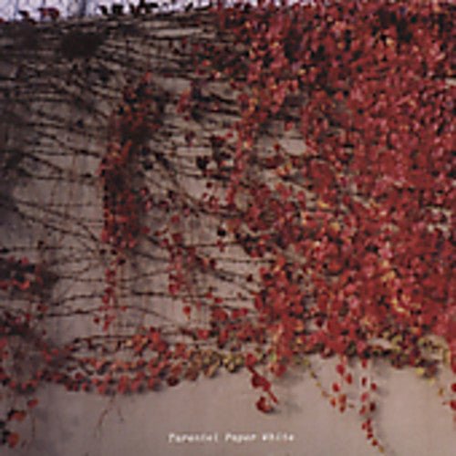 Tarentel - Paper White Music CD