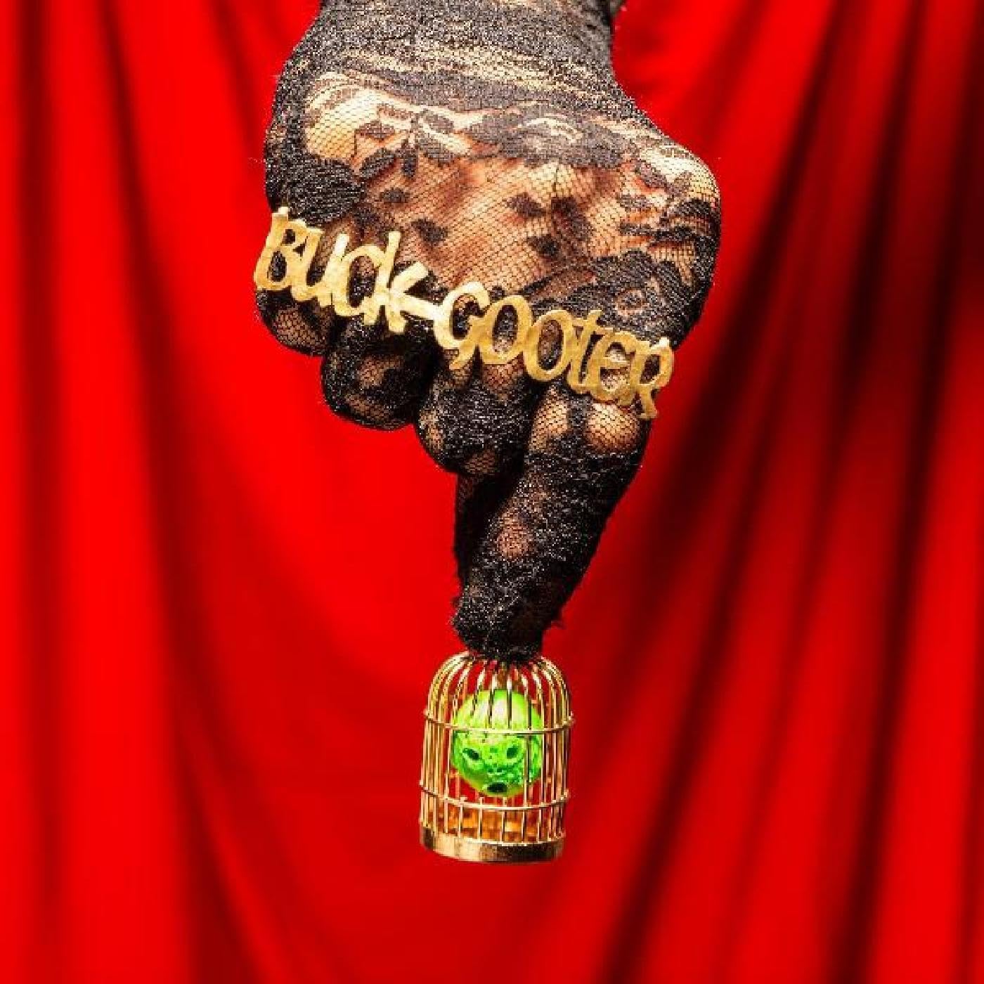 Buck Gooter - Head In A Bird Cage [Download Included] Vinyl Record