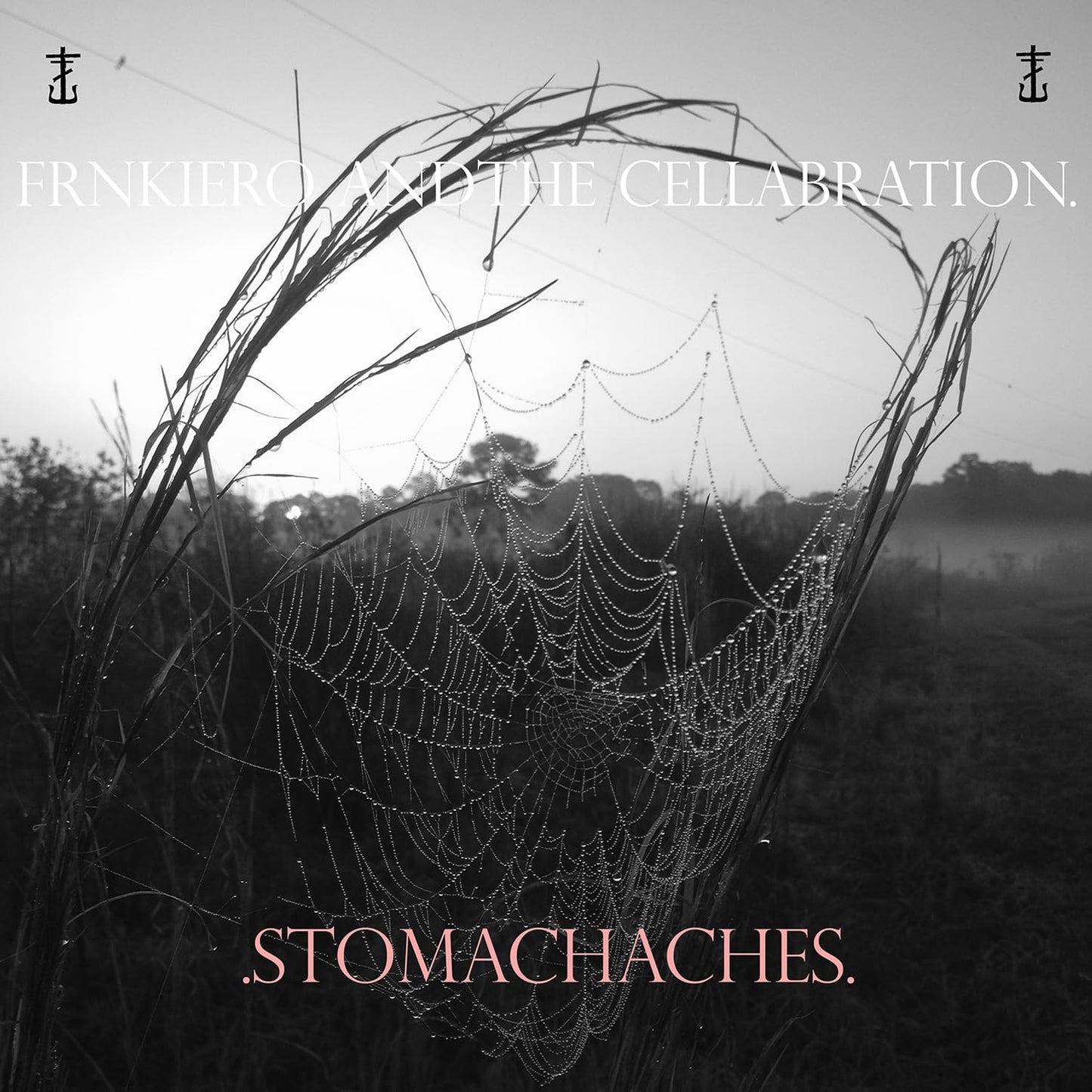 Frnkiero & The Cellabration - Stomachaches [LP] Vinyl Record
