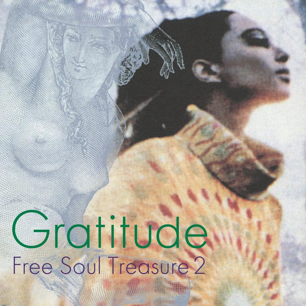 Gratitude: Suburbia Meets Ultra-Vybe 2 (Ltd) - Gratitude: Suburbia Meets Ultra-Vybe 2 [Limited Edition] Vinyl Record
