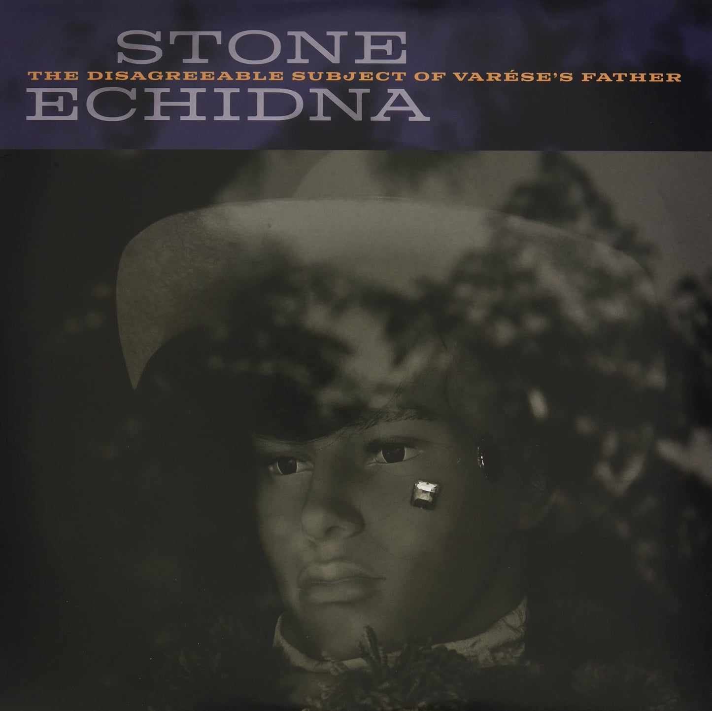 Stone Echidna - Disagreeable Subject Of Varese's Father [LP] Vinyl Record