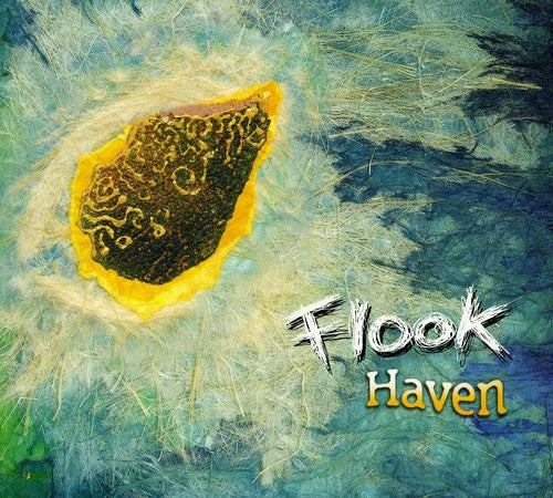 Flook - Haven [Import]