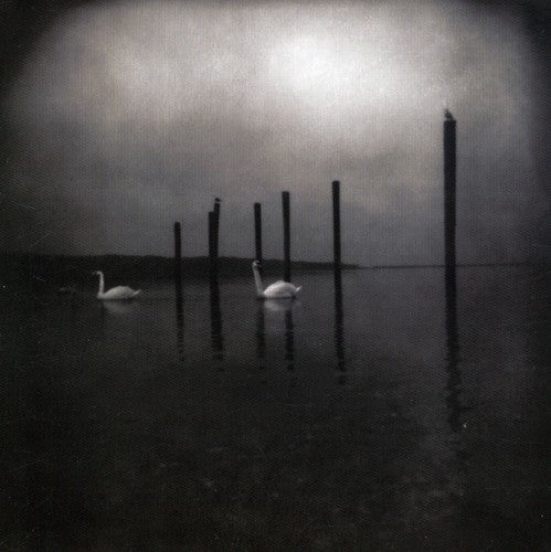 Om - Conference of the Birds [CD]
