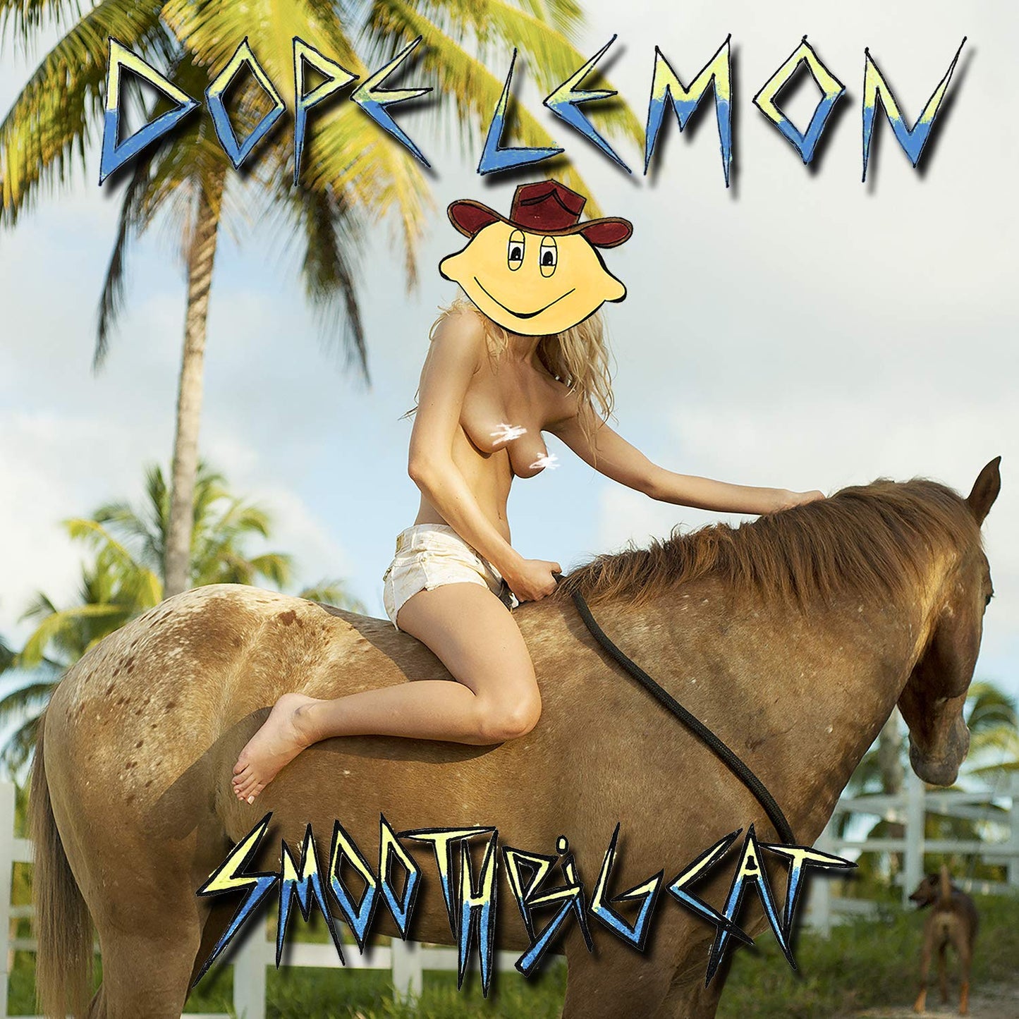 Dope Lemon - Smooth Big Cat (Pict) [LP] Vinyl Record