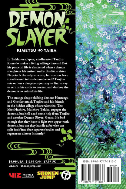 Demon Slayer Kimetsu No Yaiba Gn Vol. 13