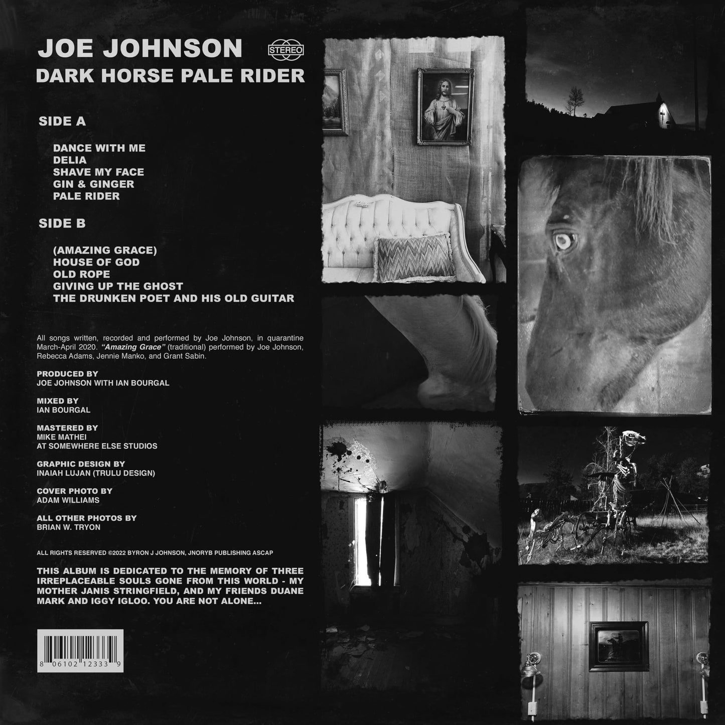 Joe Johnson - Dark Horse Pale Rider [LP] Vinyl Record