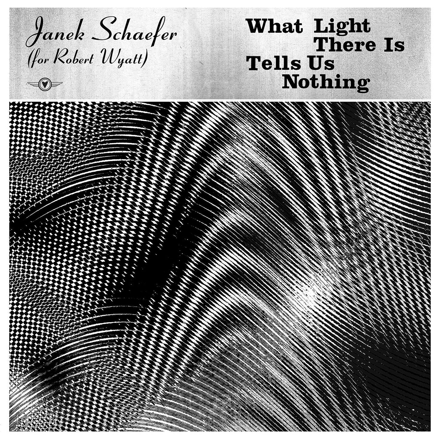 Janek Schaefer - What Light There Is Tells Us Nothing [LP] Vinyl Record