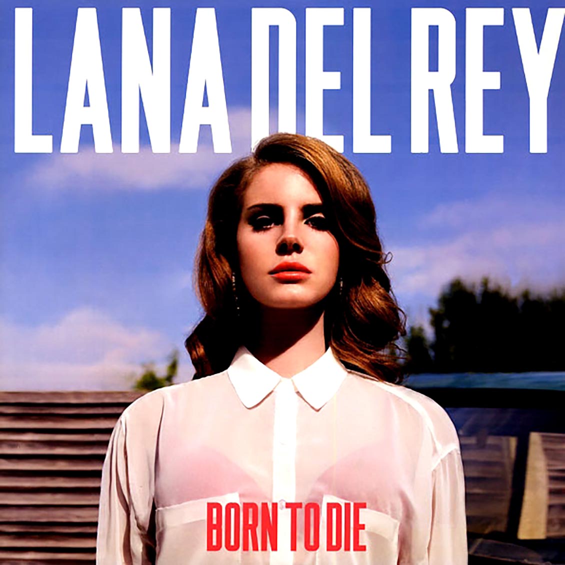 Lana Del Rey - Born To Die [New Vinyl Record LP]