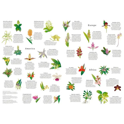 Around the World in 50 Orchids 1000 Piece Jigsaw Puzzle Laurence King