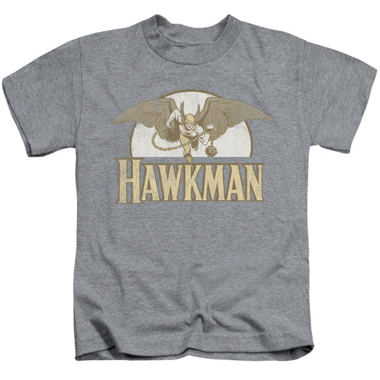 DC Comics Fly by Juvenile Kids Youth T Shirt Athletic Heather Officially Licensed