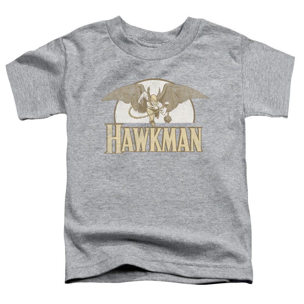 DC Comics Fly by Toddler Kids Youth T Shirt Athletic Heather Officially Licensed