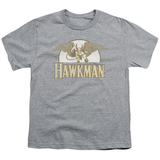 DC Comics Fly by Kids Youth T Shirt Athletic Heather Officially Licensed