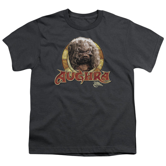 Dark Crystal Aughra Circle Kids Youth T Shirt Charcoal Officially Licensed