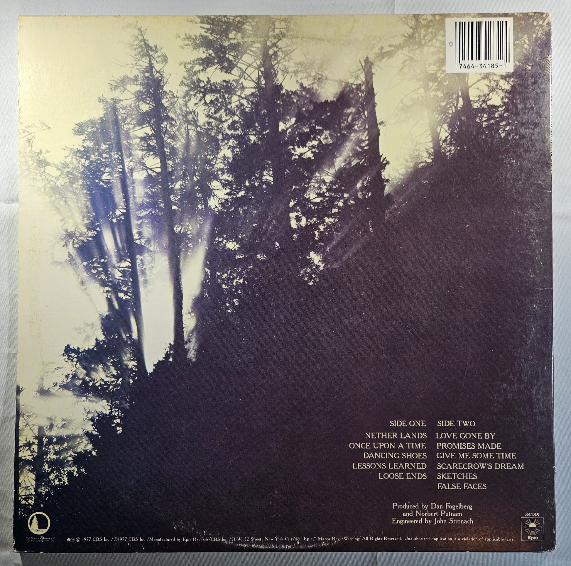 Dan Fogelberg - Nether Lands [1979 Reissue] [Used Vinyl Record LP]