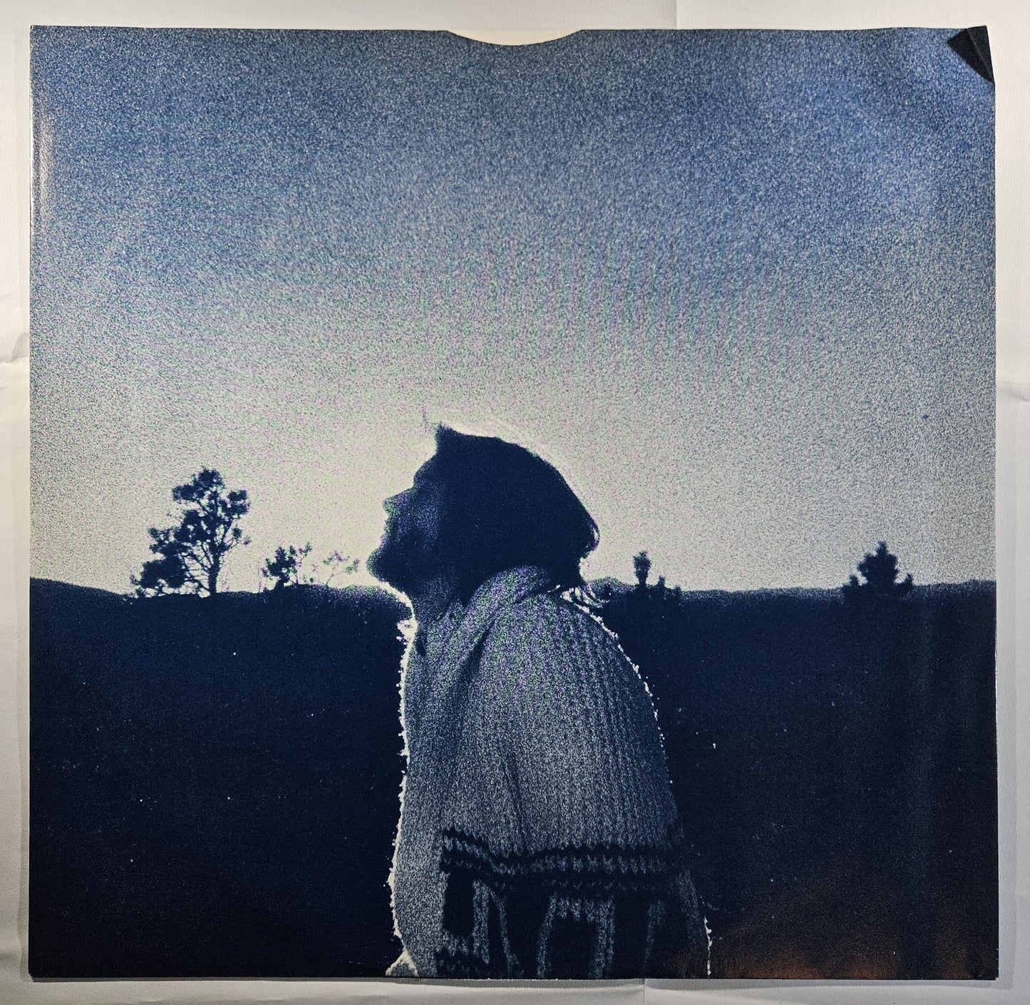 Dan Fogelberg - Nether Lands [1979 Reissue] [Used Vinyl Record LP]