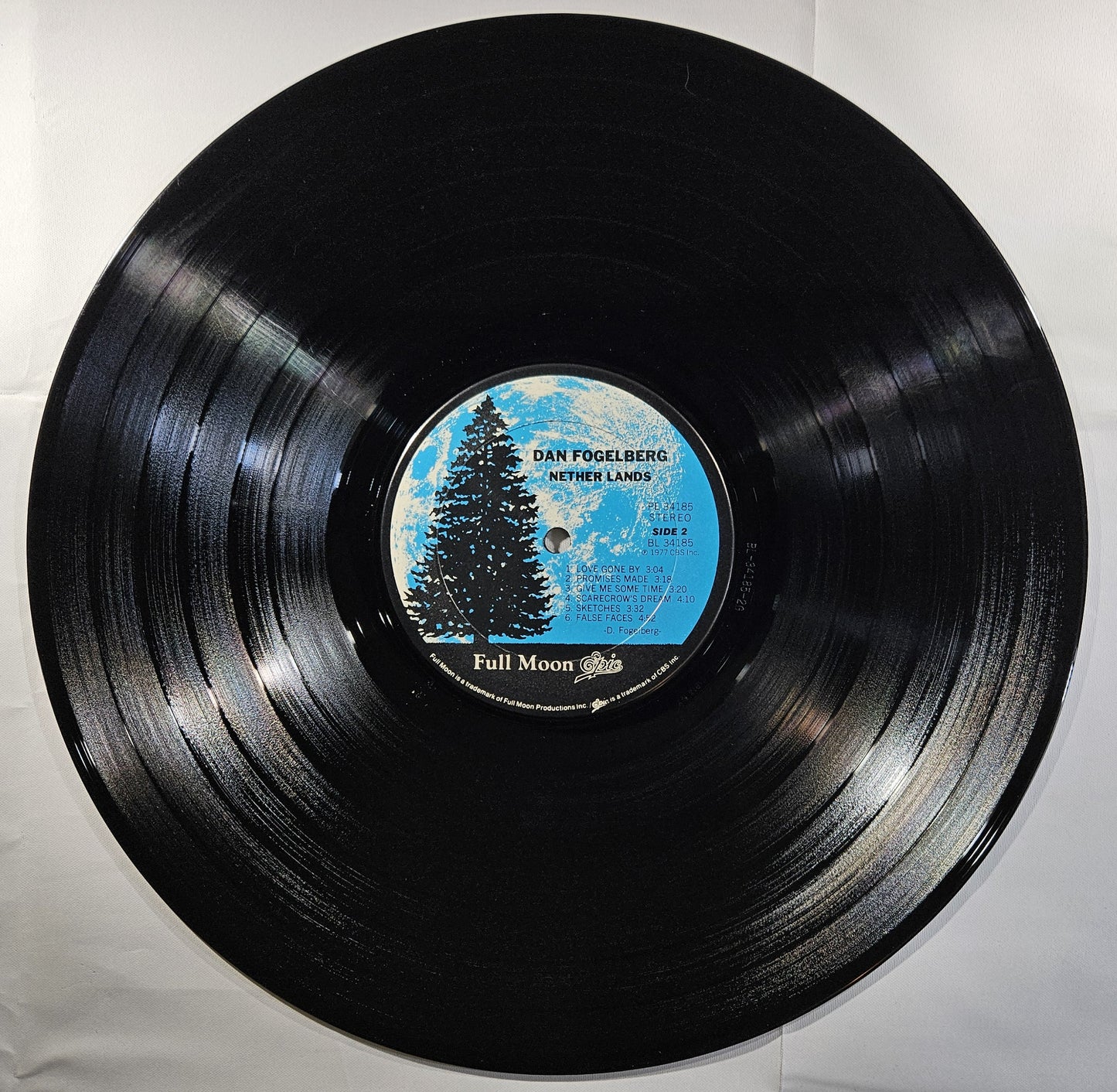 Dan Fogelberg - Nether Lands [1979 Reissue] [Used Vinyl Record LP] [B]