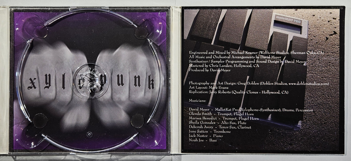 David Meyer - Stiks and Stone [2005 Used CD]