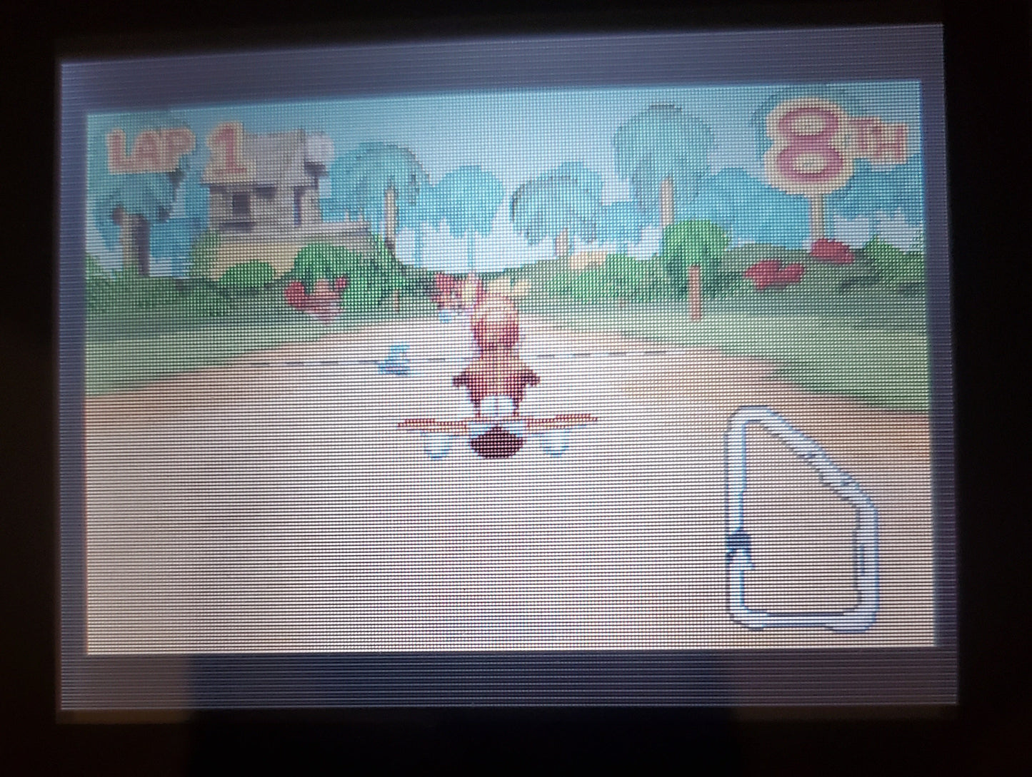 Diddy Kong Pilot GBA Video Game Cartridge Game Boy Advance Nintendo