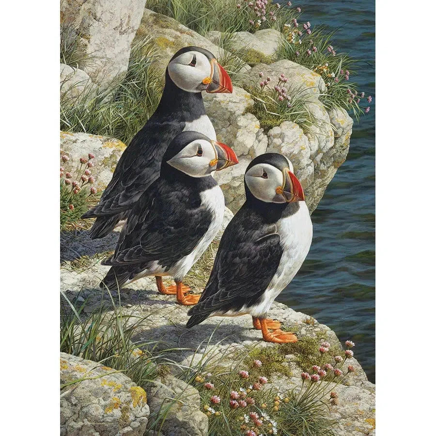 Fisherman's Wharf 500 Piece Jigsaw Puzzle Cobble Hill