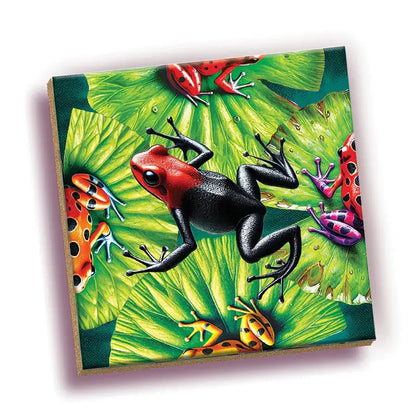 Frog 25 Piece Magic Square Tile Puzzle Sudoku Style Game Outset