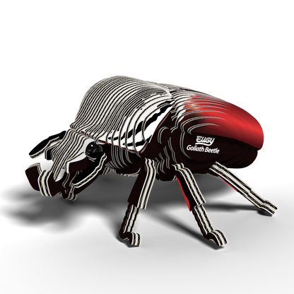 Goliath Beetle 3D Cardboard Model Kit Eugy