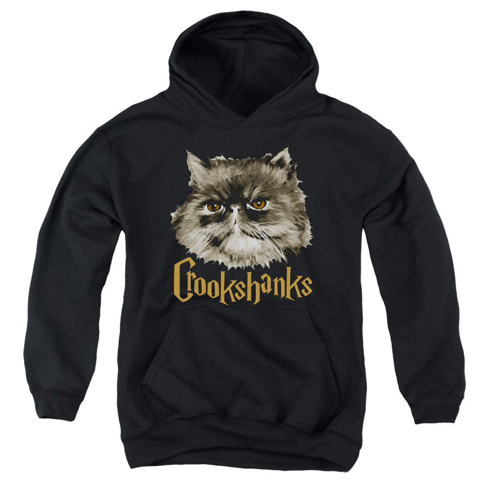 Harry Potter Crookshanks Kids Youth Hoodie Black Officially Licensed