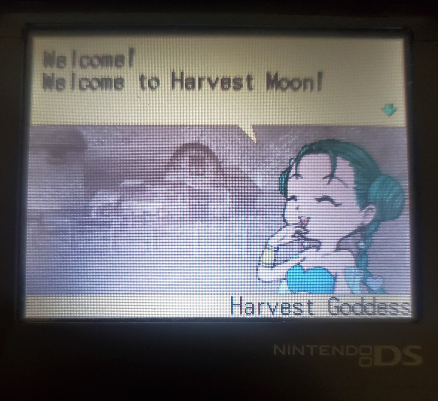 Harvest Moon DS NDS Video Game Cartridge Nintendo DS 2006