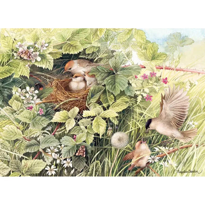 Hidden Nest 1000 Piece Jigsaw Puzzle Cobble Hill