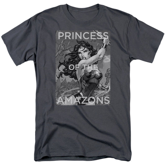 Justice League Princess of the Amazons Mens T Shirt Charcoal Officially Licensed