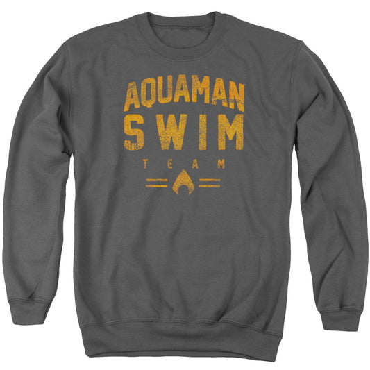 Justice League Of America Swin Team Mens Crewneck Sweatshirt Charcoal Officially Licensed
