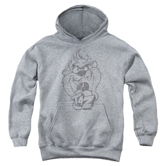 Looney Tunes Faded Taz Kids Youth Hoodie Athletic Heather Officially Licensed