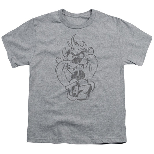 Looney Tunes Faded Taz Kids Youth T Shirt Athletic Heather Officially Licensed
