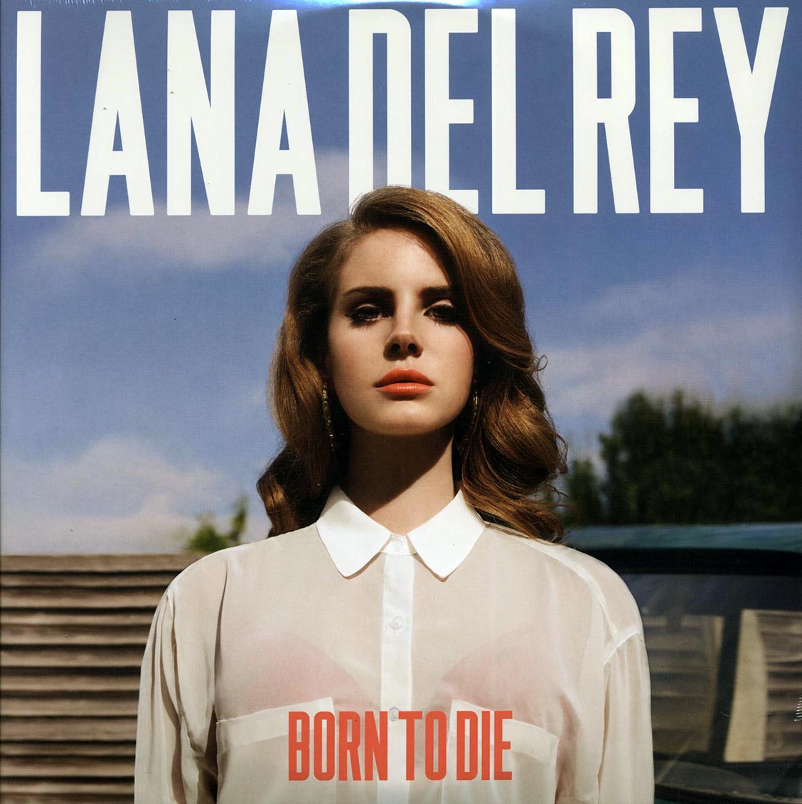 Lana Del Rey - Born to Die [2012 New Double Vinyl Record LP]